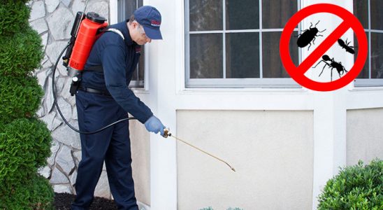 Akkuş Uçan Haşere İlaçlama böcek ilaçlama ve haşere kontrolü — ilaclama-tr.com
